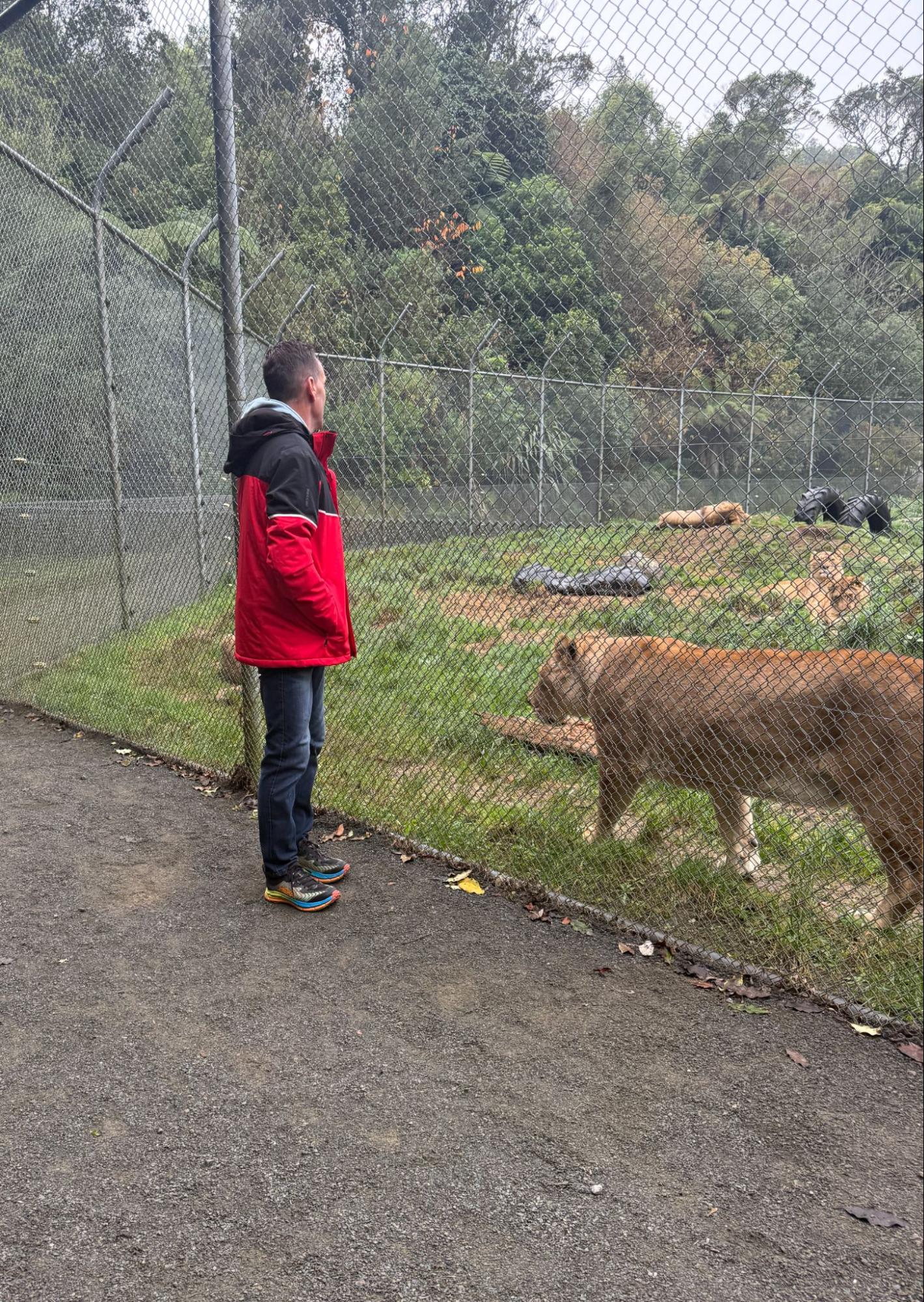 Steve Mullan working with a horse in a Waikato paddock