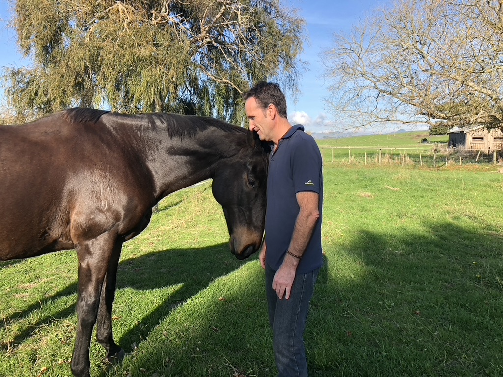 Steve Mullan with horses on a clear NZ day