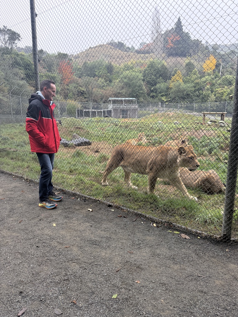 Steve Mullan alongside lions at a wildlife sanctuary